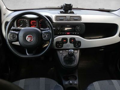 Fiat Panda Gebrauchtwagen Fiat Panda Gebrauchtwagen
