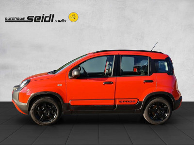 Fiat Panda Gebrauchtwagen