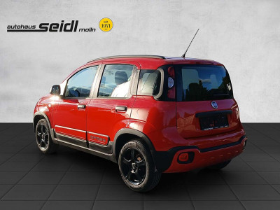 Fiat Panda Gebrauchtwagen