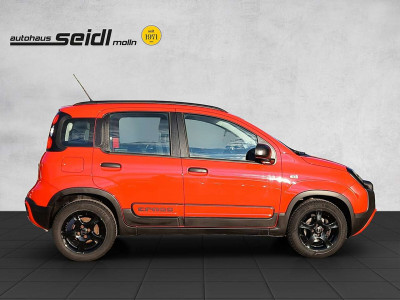 Fiat Panda Gebrauchtwagen