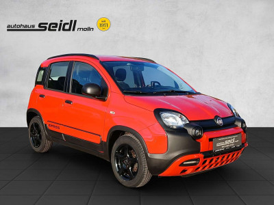 Fiat Panda Gebrauchtwagen