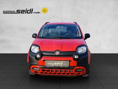 Fiat Panda Gebrauchtwagen