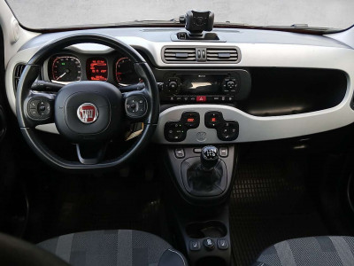 Fiat Panda Gebrauchtwagen