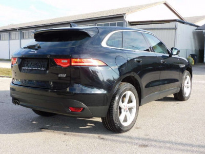 Jaguar F-Pace Gebrauchtwagen