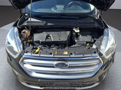 Ford Kuga Gebrauchtwagen Ford Kuga Gebrauchtwagen