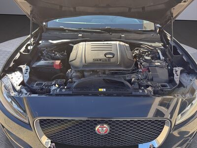 Jaguar F-Pace Gebrauchtwagen