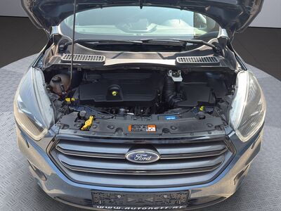 Ford Kuga Gebrauchtwagen Ford Kuga Gebrauchtwagen