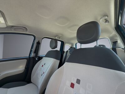 Fiat Panda Gebrauchtwagen