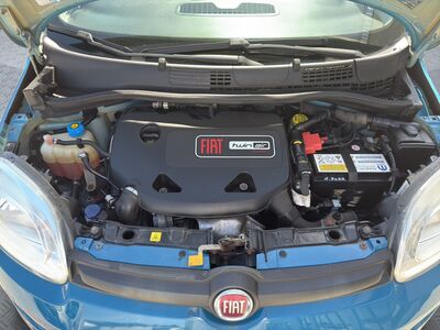 Fiat Panda Gebrauchtwagen