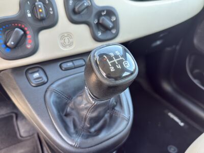Fiat Panda Gebrauchtwagen