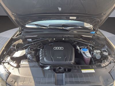 Audi Q5 Gebrauchtwagen