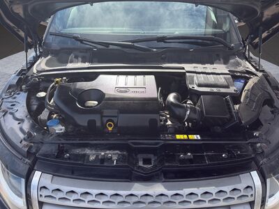 Land Rover Range Rover Evoque Gebrauchtwagen