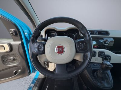Fiat Panda Gebrauchtwagen Fiat Panda Gebrauchtwagen
