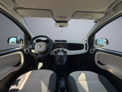 Fiat Panda Gebrauchtwagen Fiat Panda Gebrauchtwagen
