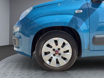 Fiat Panda Gebrauchtwagen Fiat Panda Gebrauchtwagen