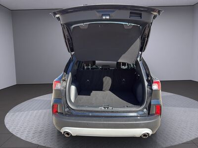 Ford Kuga Gebrauchtwagen Ford Kuga Gebrauchtwagen