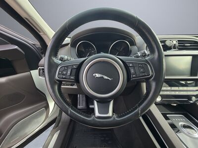 Jaguar F-Pace Gebrauchtwagen Jaguar F-Pace Gebrauchtwagen