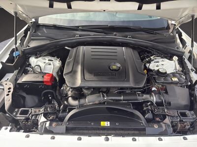 Jaguar F-Pace Gebrauchtwagen Jaguar F-Pace Gebrauchtwagen