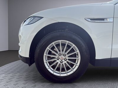 Jaguar F-Pace Gebrauchtwagen Jaguar F-Pace Gebrauchtwagen
