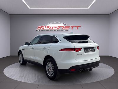 Jaguar F-Pace Gebrauchtwagen Jaguar F-Pace Gebrauchtwagen