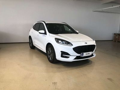 Ford Kuga Neuwagen