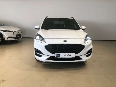 Ford Kuga Neuwagen