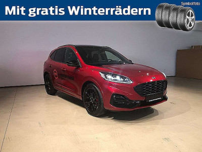 Ford Kuga Vorführwagen