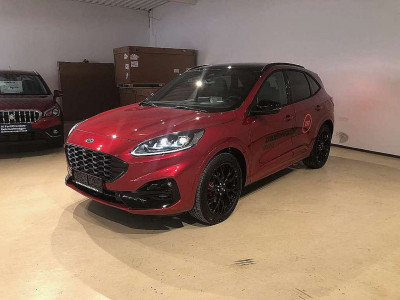 Ford Kuga Vorführwagen