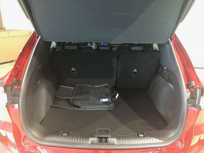 Ford Kuga Vorführwagen