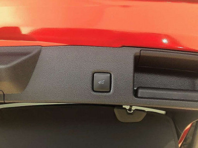 Ford Kuga Vorführwagen