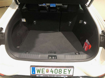 Ford Mustang Mach-E Vorführwagen