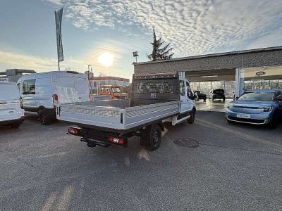 Ford Transit Neuwagen