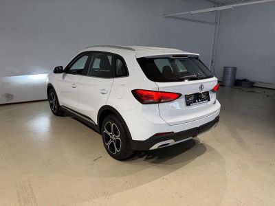 MG ZS Tageszulassung