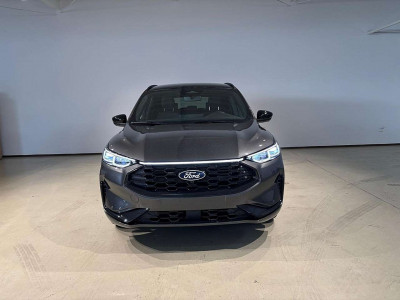 Ford Kuga Vorführwagen