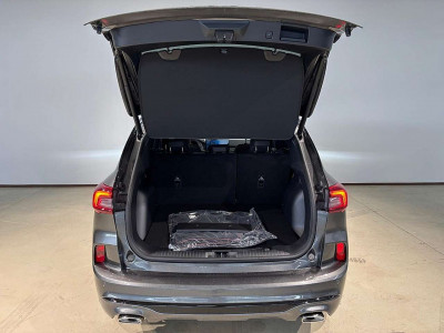 Ford Kuga Vorführwagen