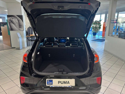 Ford Puma Neuwagen