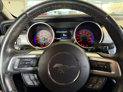 Ford Mustang Gebrauchtwagen