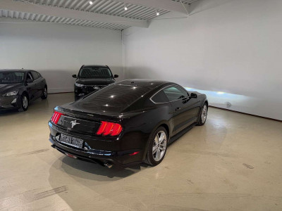 Ford Mustang Gebrauchtwagen
