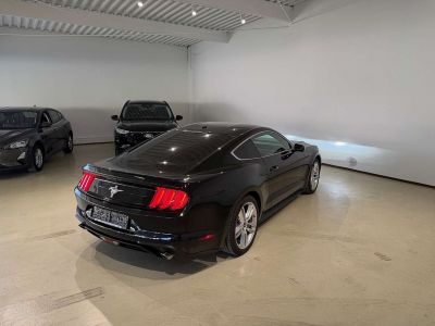 Ford Mustang Gebrauchtwagen