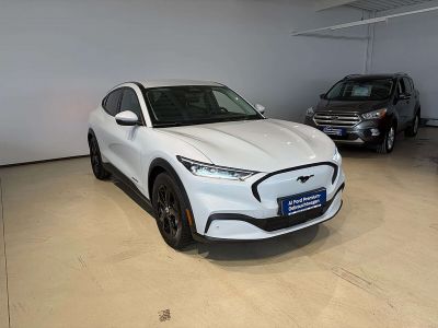 Ford Mustang Mach-E Gebrauchtwagen