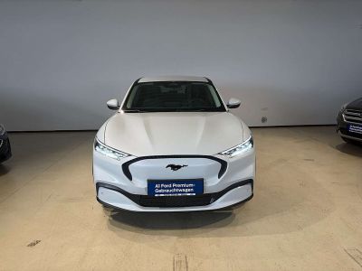 Ford Mustang Mach-E Gebrauchtwagen