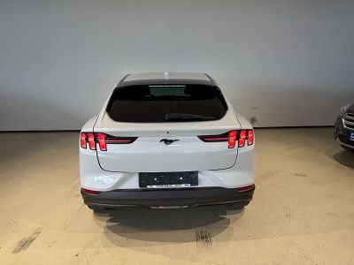 Ford Mustang Mach-E Gebrauchtwagen