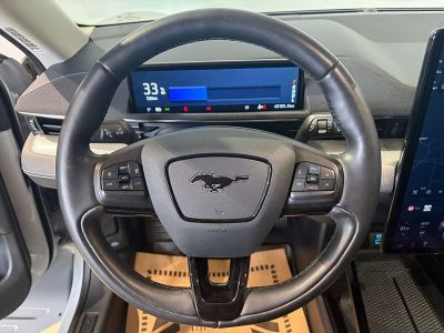 Ford Mustang Mach-E Gebrauchtwagen