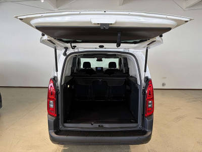 Fiat Doblo Tageszulassung