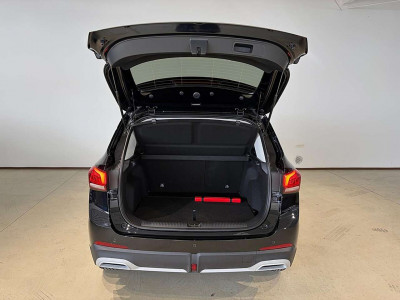 MG ZS Tageszulassung