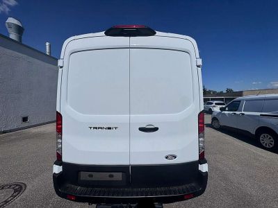 Ford Transit Neuwagen