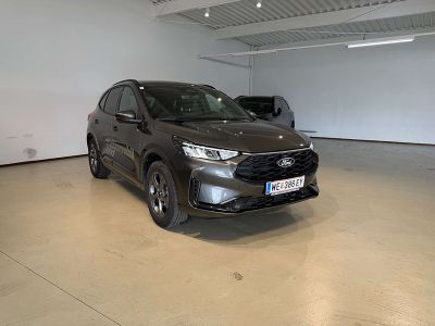Ford Kuga Vorführwagen
