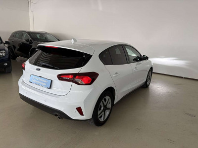 Ford Focus Gebrauchtwagen Ford Focus Gebrauchtwagen
