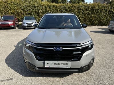 Subaru Forester Vorführwagen Subaru Forester Vorführwagen