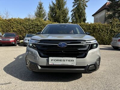 Subaru Forester Vorführwagen Subaru Forester Vorführwagen